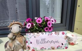 Else' S Stuebchen